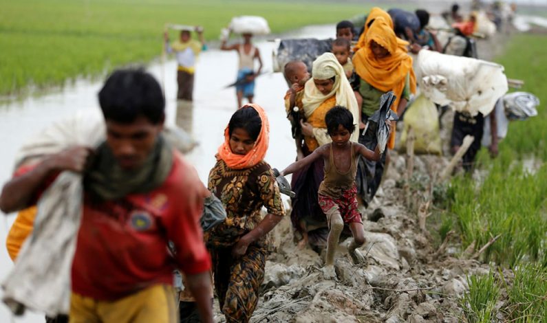 Amnesti Internasional Desak Thailand Terima Pengungsi Rohingya Amnesti Internasional Desak Thailand Terima Pengungsi Rohingya