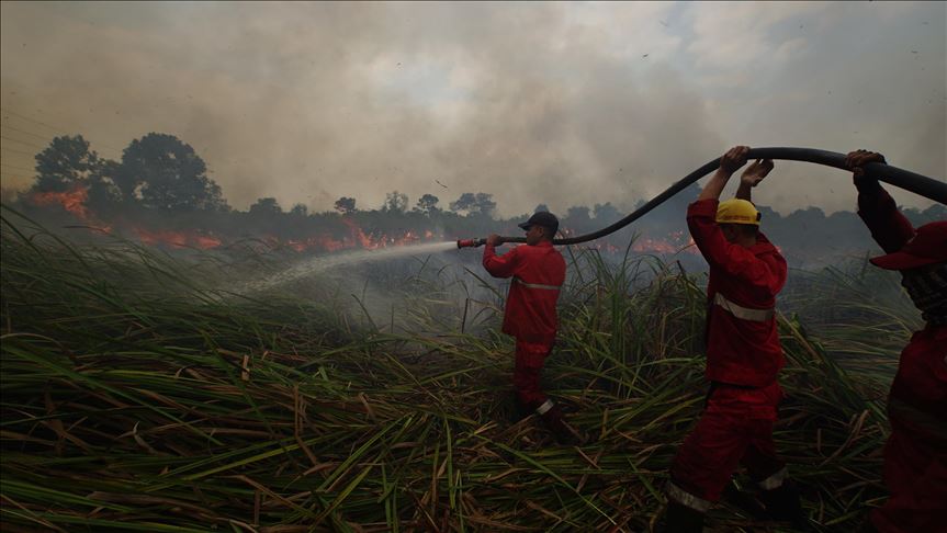 Photo Credit : Pemadam kebakaran berusaha memadamkan kebakaran lahan gambut di Ogan Ilir, Sumatera Selatan. Muhammad/A.F Anadolu Agency