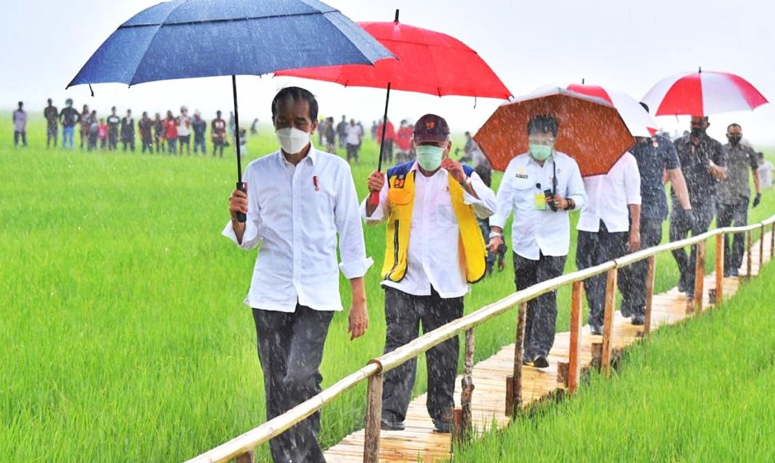 Photo Credit: Presiden Joko Widodo (Jokowi) pada saat mengunjungi lokasi food estate di Sumba Tengah, NTT. Presidential Palace/Agus Suparto