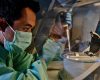 Indonesia Akan Dapat Alokasi Vaksin Multilateral
